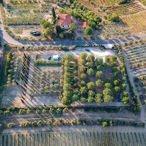  Kemping Agricamping Poggio Ai Pini Wine